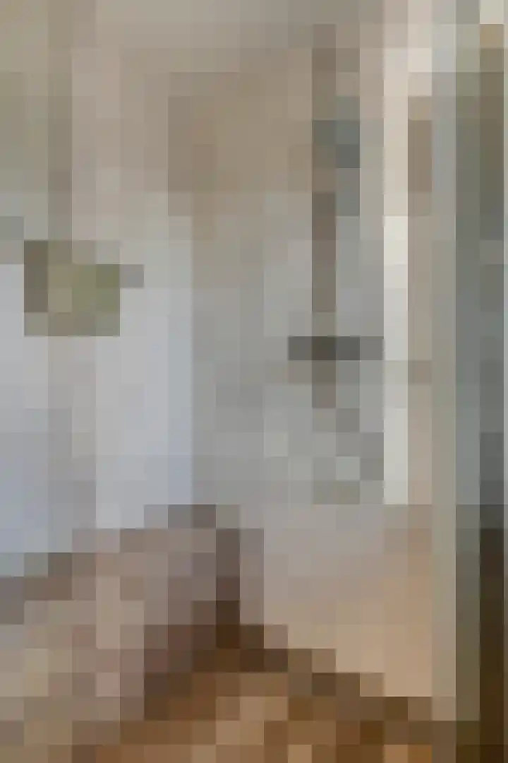 Baudevoort 20 Helmond thumbnail 34