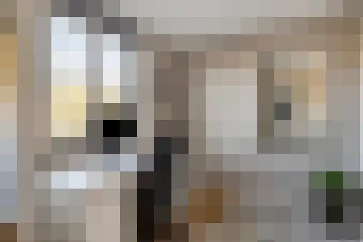Baudevoort 20 Helmond thumbnail 38