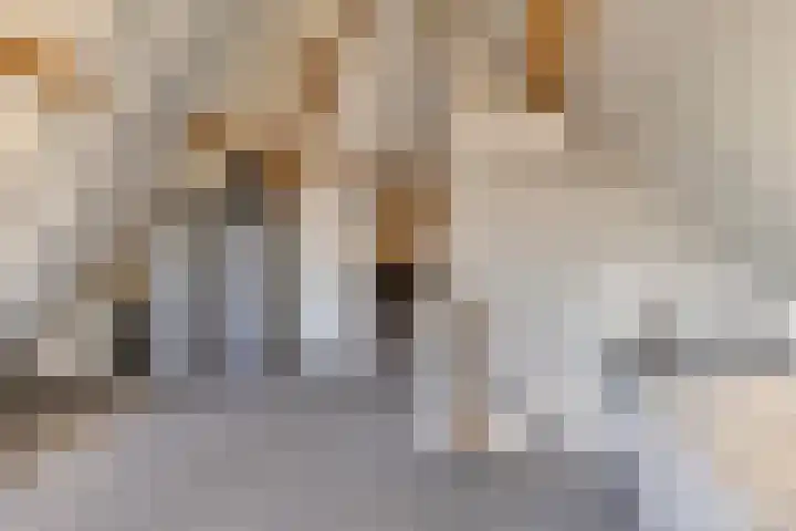 Baudevoort 20 Helmond thumbnail 41