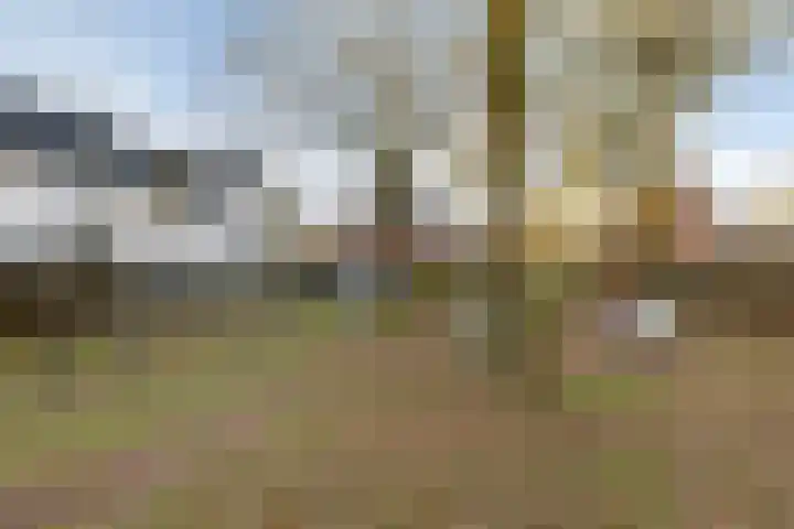 Baudevoort 20 Helmond thumbnail 46