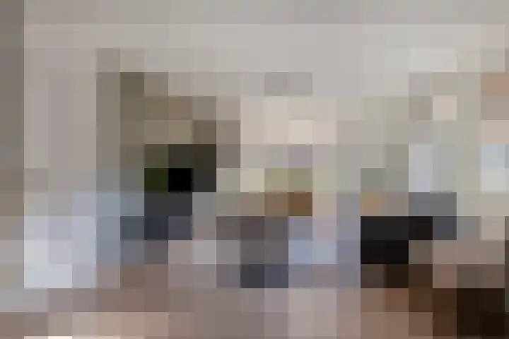 Baudevoort 20 Helmond thumbnail 7