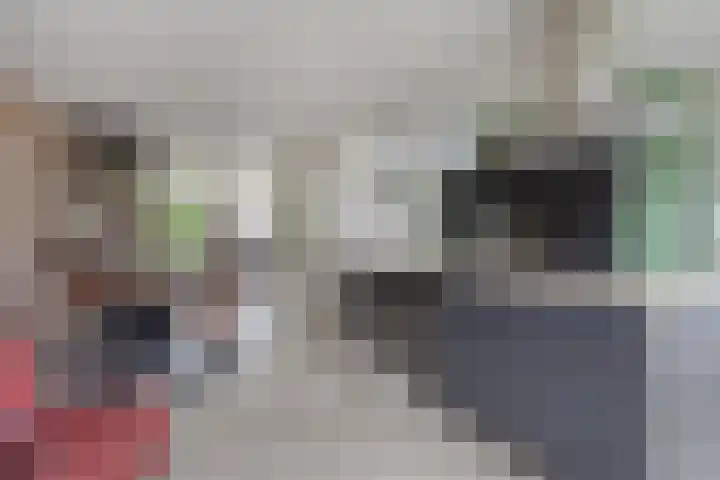 Baudevoort 43 Helmond thumbnail 11