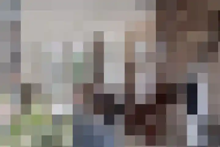 Baudevoort 43 Helmond thumbnail 17