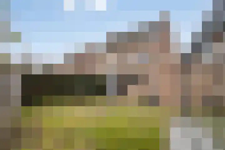 Baudevoort 43 Helmond thumbnail 29