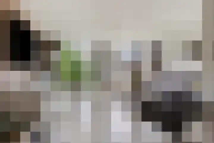Baudevoort 43 Helmond thumbnail 7