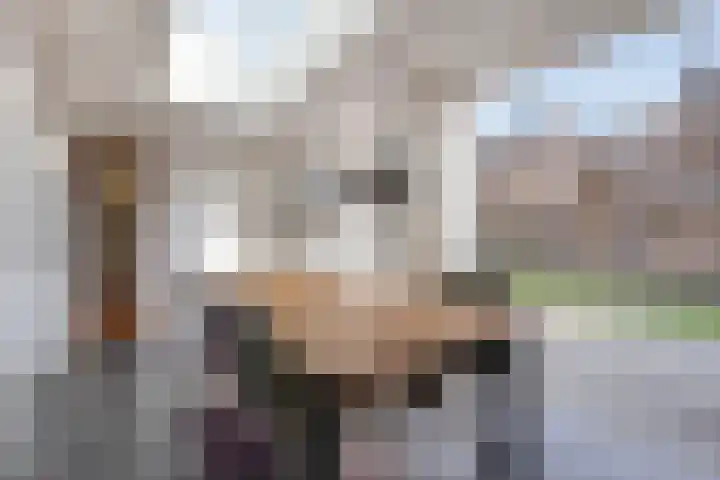 Baudevoort 47 Helmond thumbnail 12