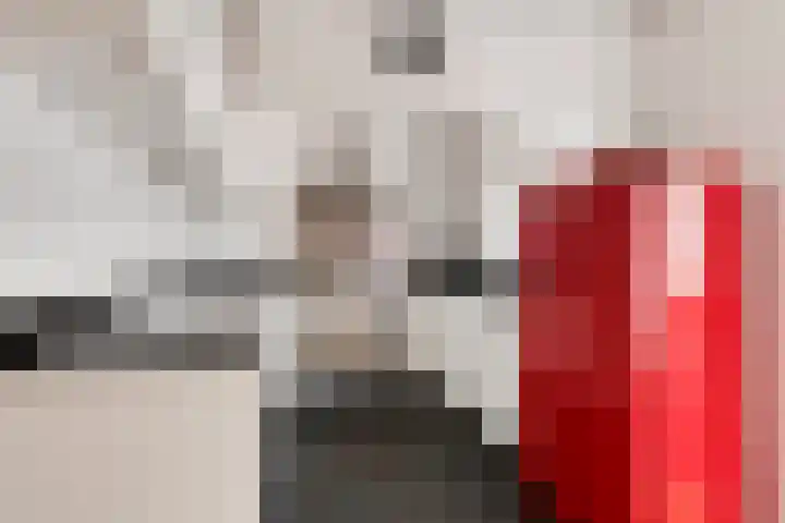 Baudevoort 47 Helmond thumbnail 14