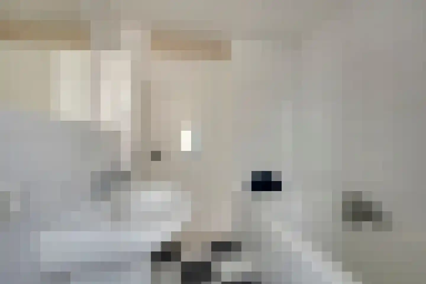 Baudevoort 47 Helmond thumbnail 31