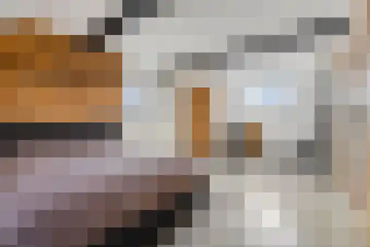 Baudevoort 47 Helmond thumbnail 4