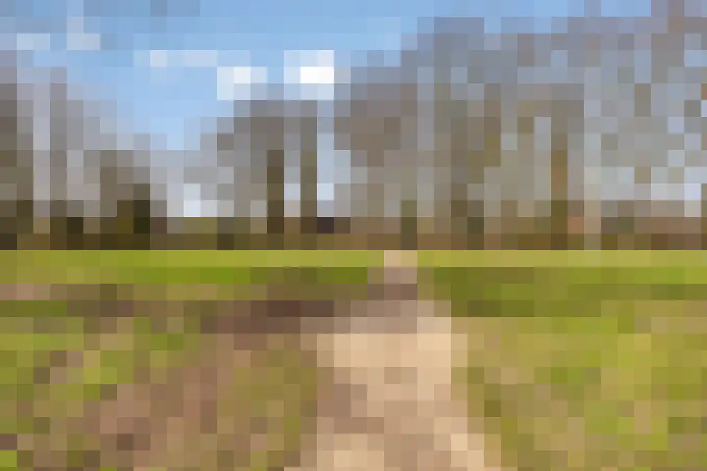 Baudevoort 47 Helmond thumbnail 42