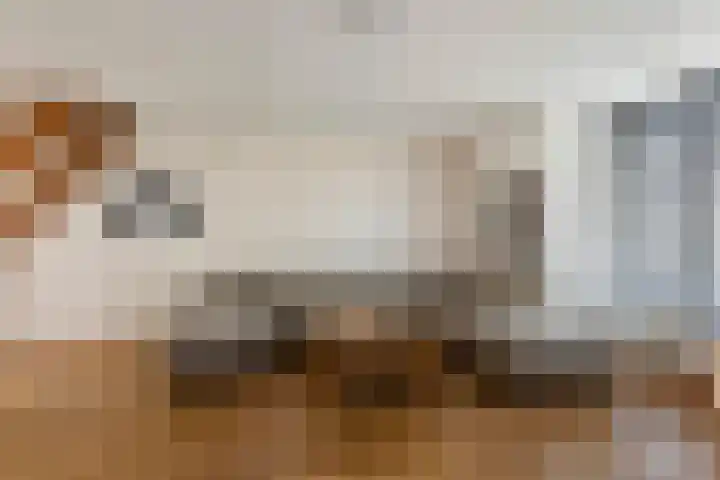 Baudevoort 47 Helmond thumbnail 9
