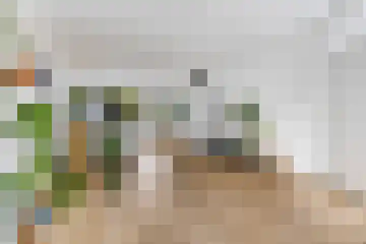 Bauerstraat 21 Ede thumbnail 4