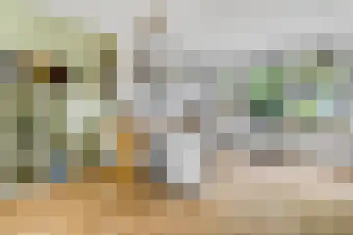 Bauerstraat 21 Ede thumbnail 7