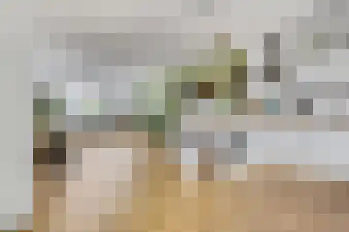 Bauerstraat 21 Ede thumbnail 8