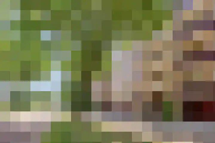 Bauerstraat 29 2 Arnhem thumbnail 31