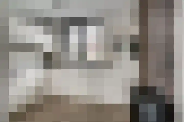 Bauerstraat 4 Duiven thumbnail 22