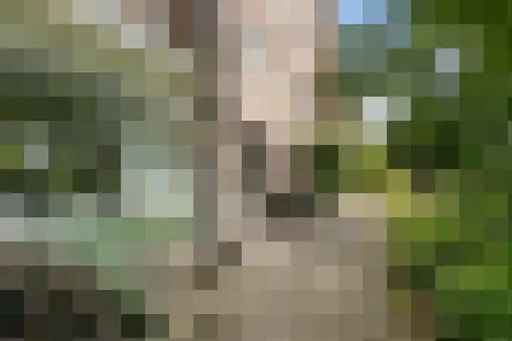 Bauerstraat 7 1 Arnhem thumbnail 31