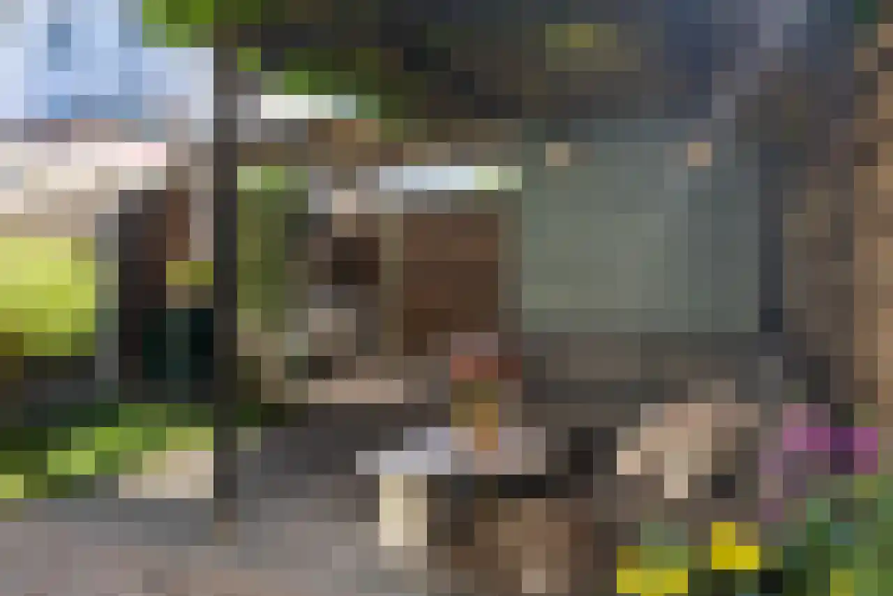 Baumgartenstraat 26 Lent thumbnail 15