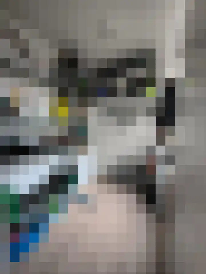 Bauxietpad 1 Delft thumbnail 12