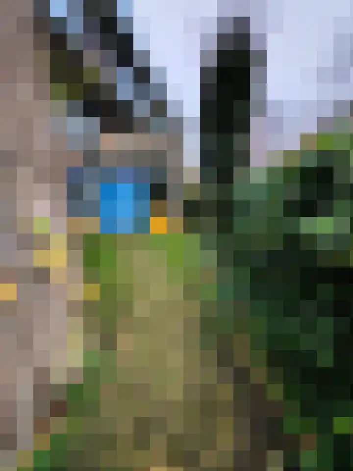Bauxietpad 1 Delft thumbnail 13