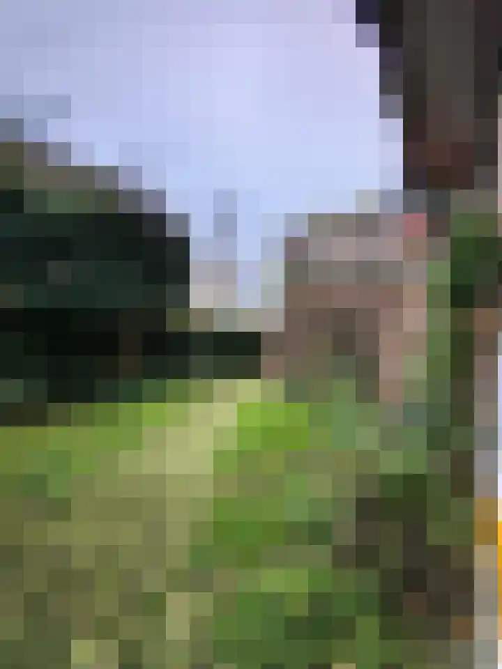 Bauxietpad 1 Delft thumbnail 16