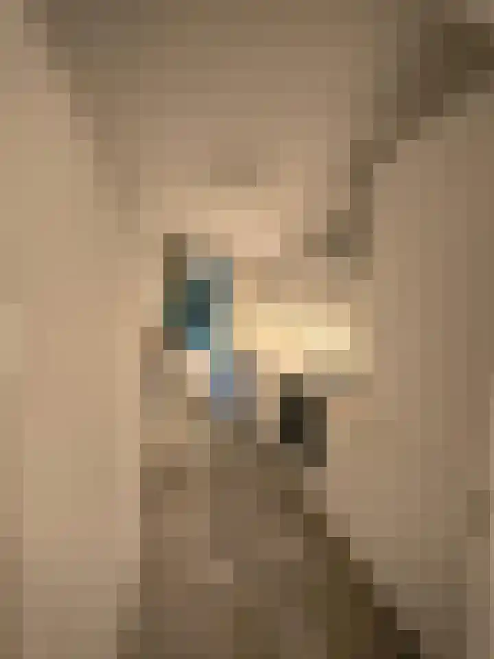 Bauxietpad 1 Delft thumbnail 6