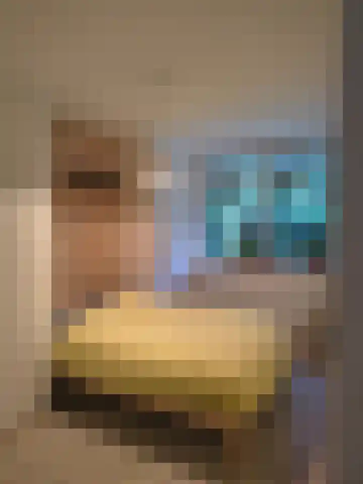 Bauxietpad 1 Delft thumbnail 8