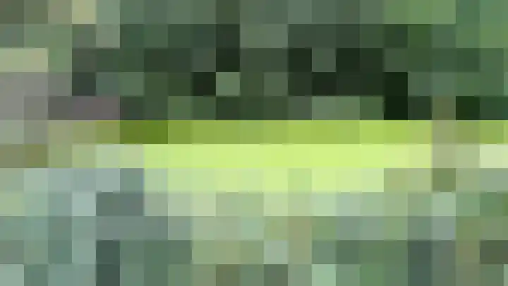 Bauxietpad 11 Delft thumbnail 15