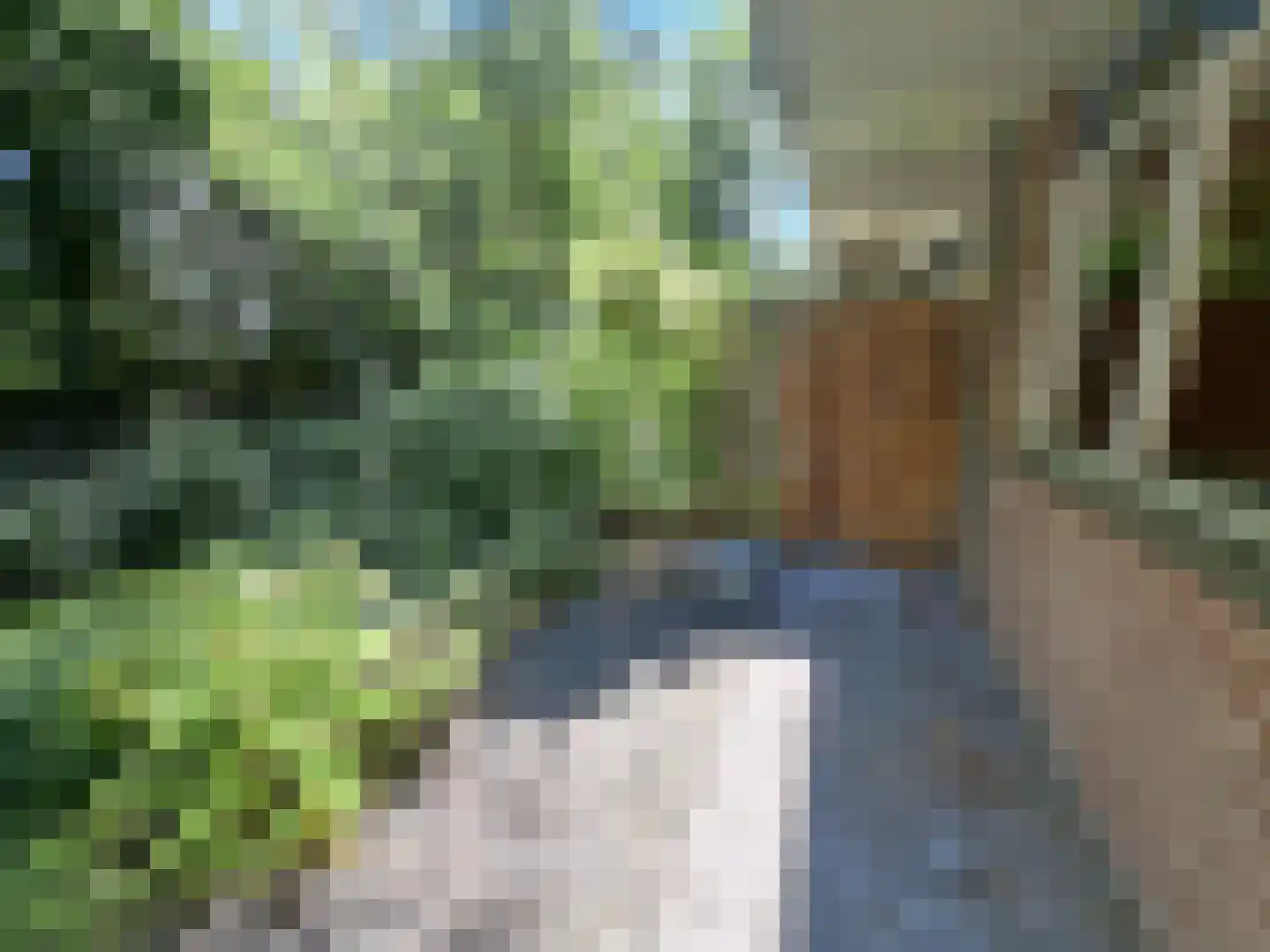 Bauxietpad 3 Delft thumbnail 10