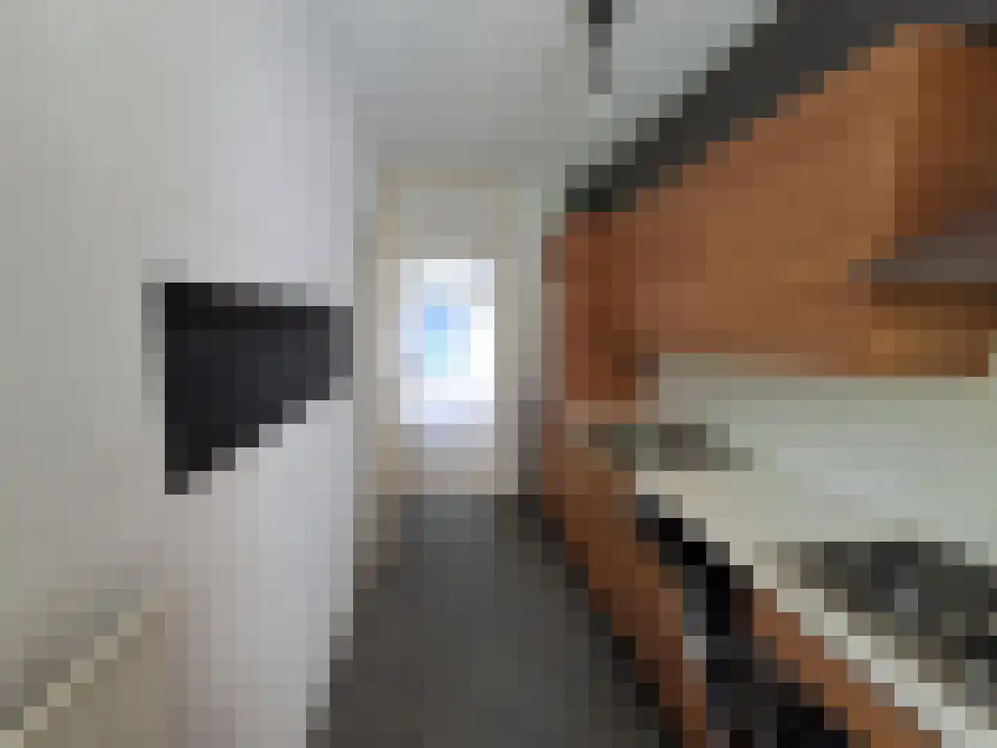 Bauxietpad 3 Delft thumbnail 5