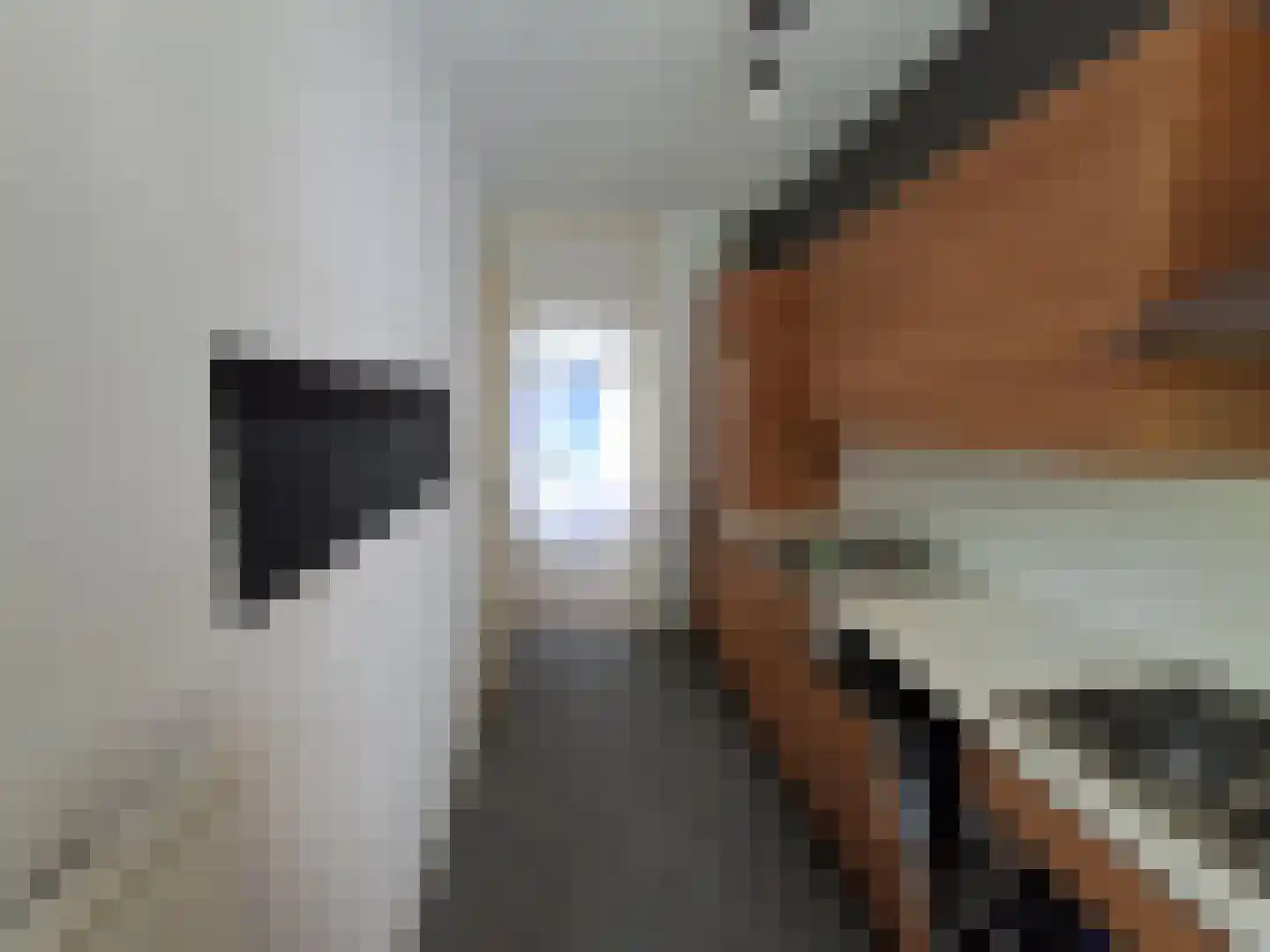 Bauxietpad 3 Delft thumbnail 6