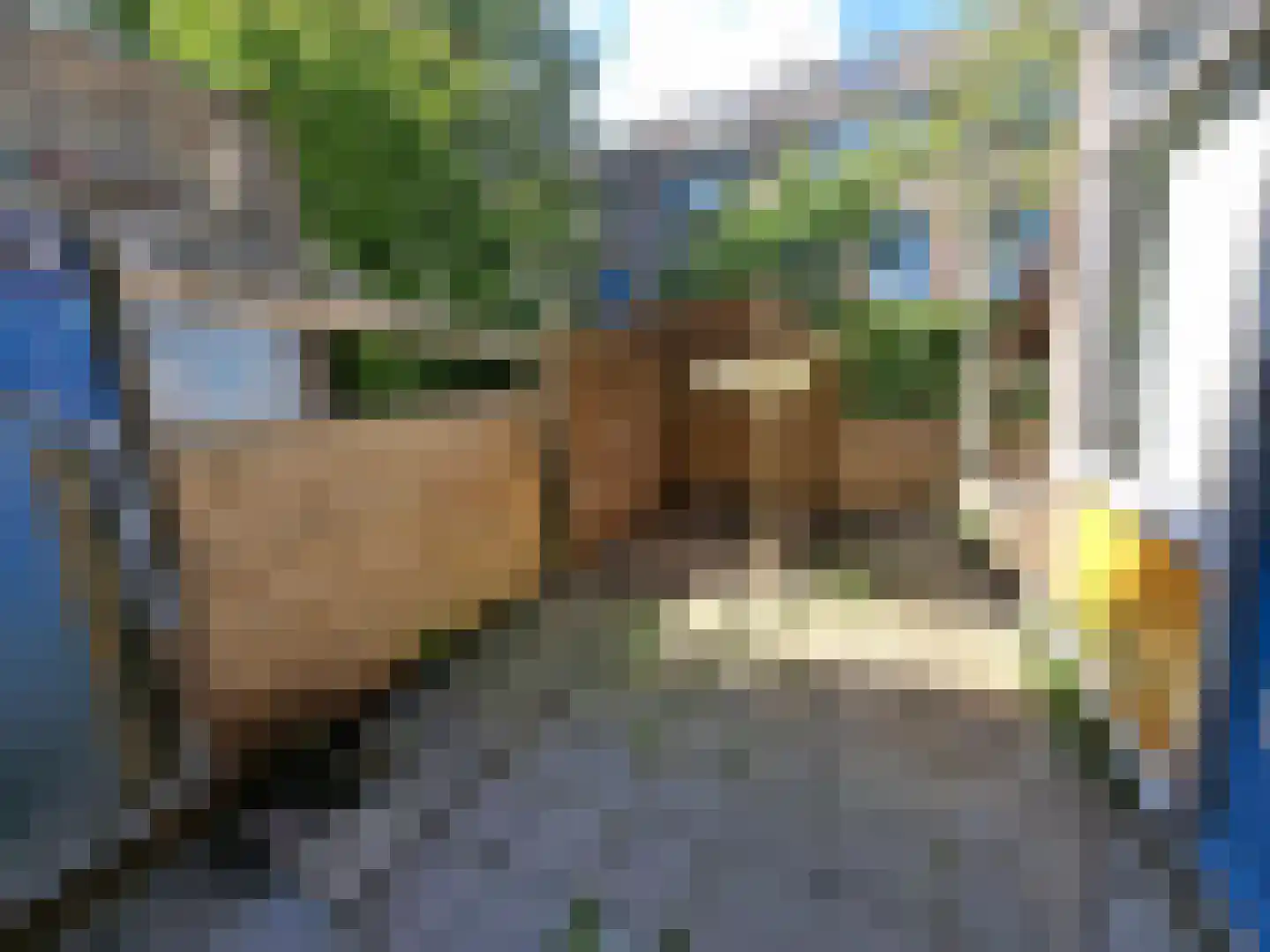 Bauxietpad 7 Delft thumbnail 14