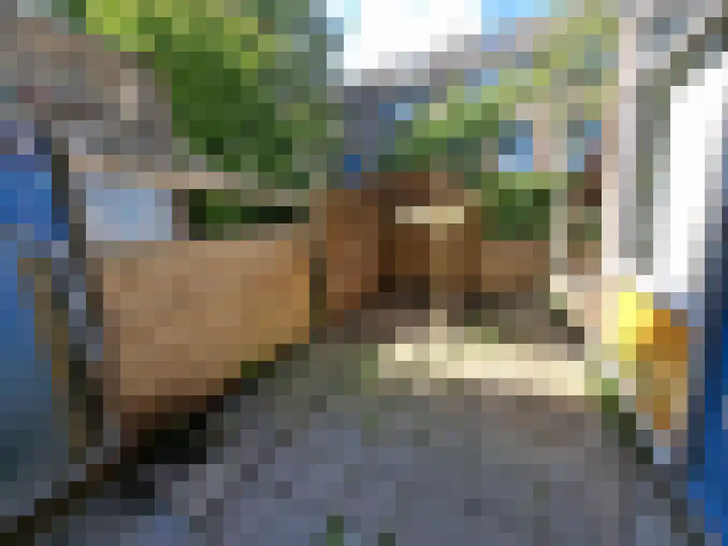 Bauxietpad 7 Delft thumbnail 14