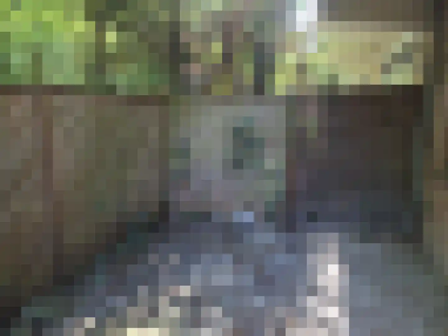 Bauxietpad 7 Delft thumbnail 15
