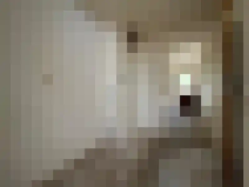 Bauxietpad 7 Delft thumbnail 7