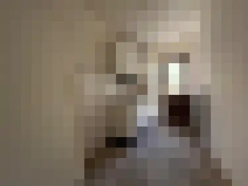 Bauxietpad 7 Delft thumbnail 8