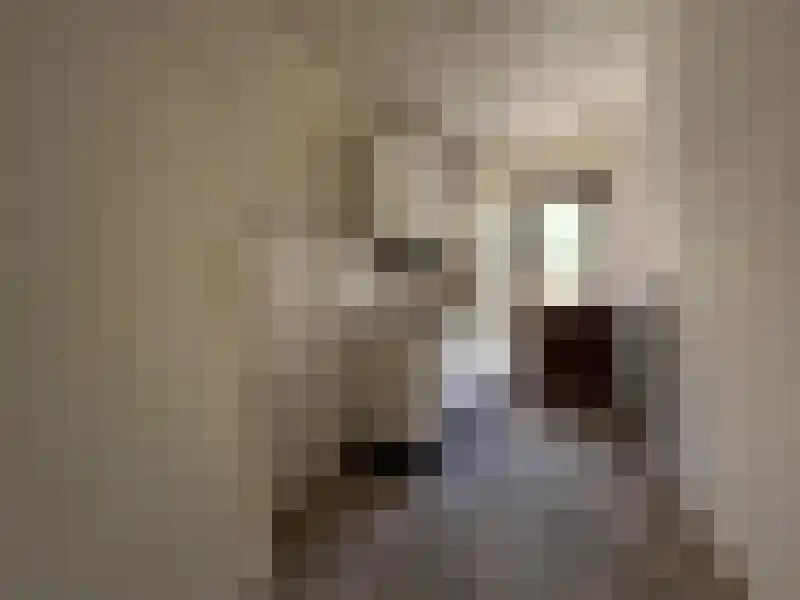 Bauxietpad 7 Delft thumbnail 8