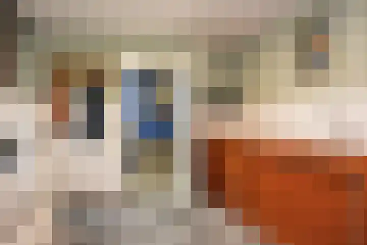Baveldspad 11 Denekamp thumbnail 25