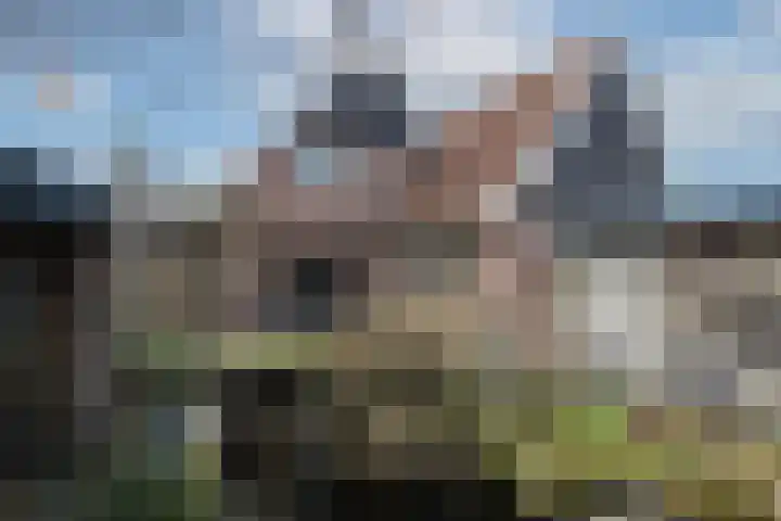 Baveldspad 11 Denekamp thumbnail 34