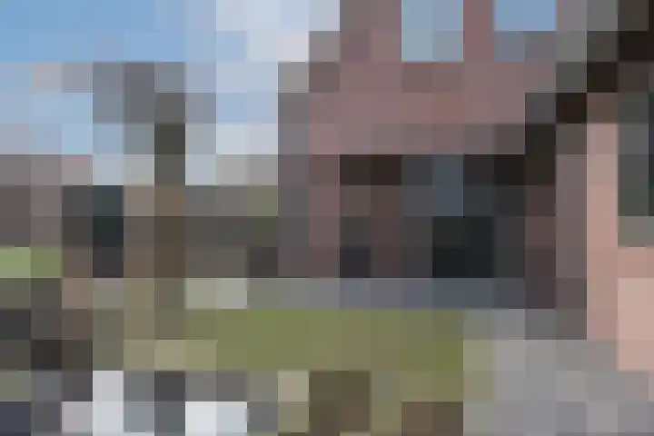 Baveldspad 11 Denekamp thumbnail 35