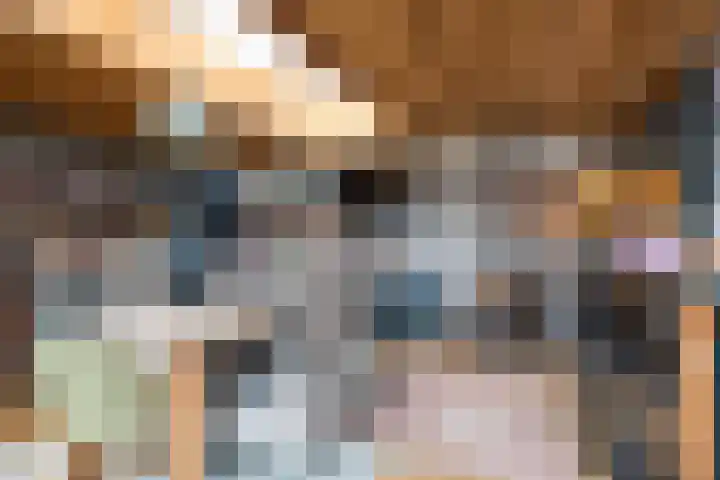 Baveldspad 11 Denekamp thumbnail 46