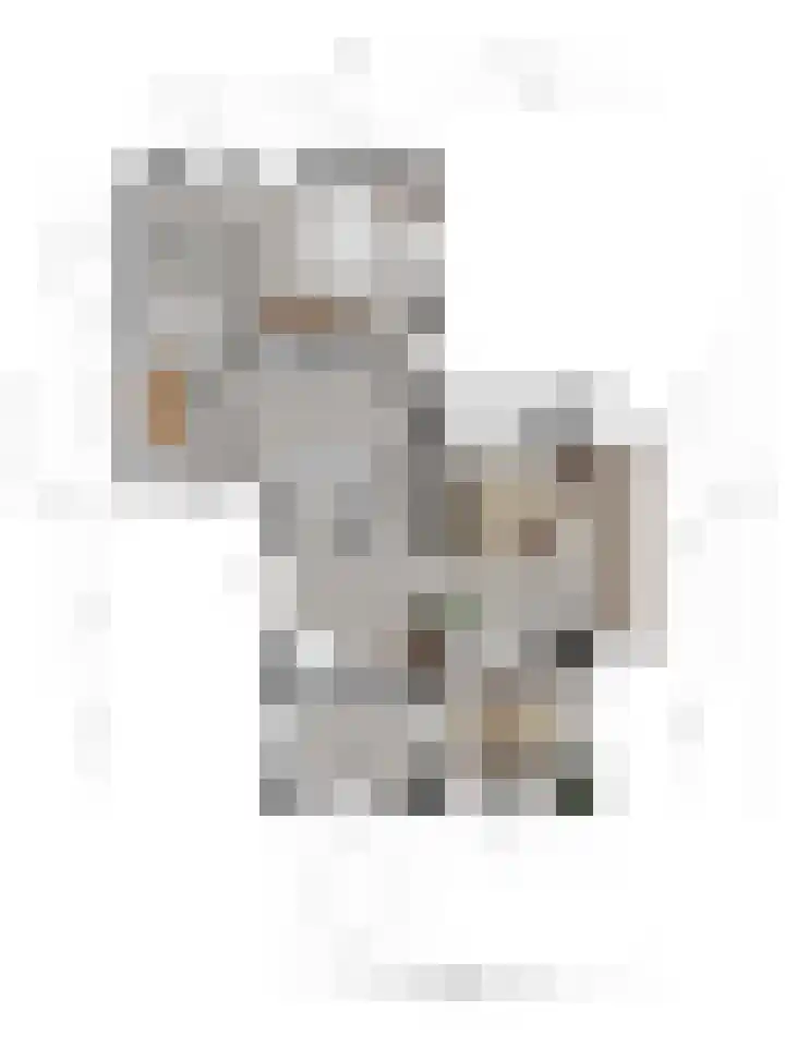 Baveldspad 11 Denekamp thumbnail 52