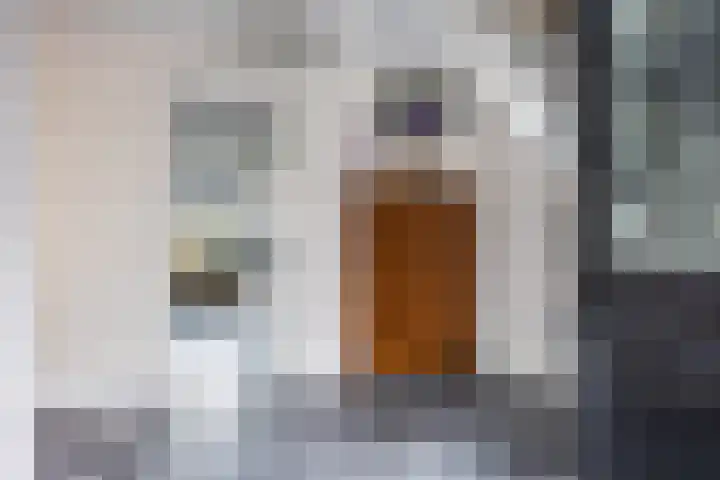 Baveldspad 11 Denekamp thumbnail 7