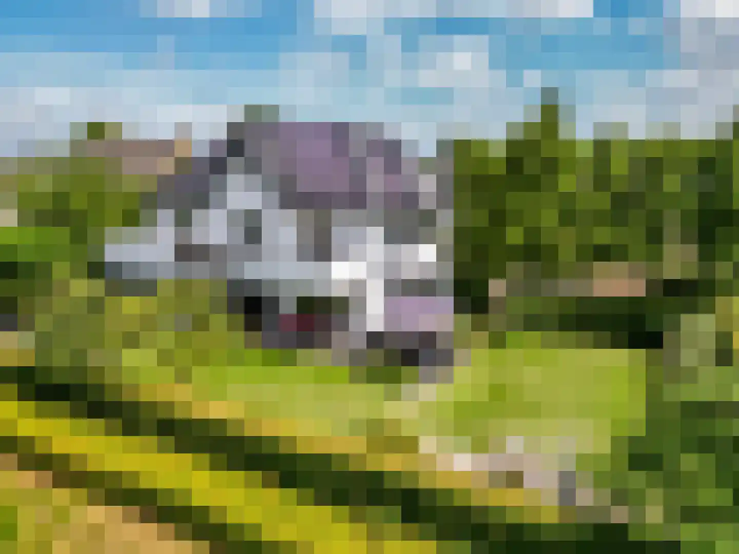 Bavelse Leij 11 Bavel