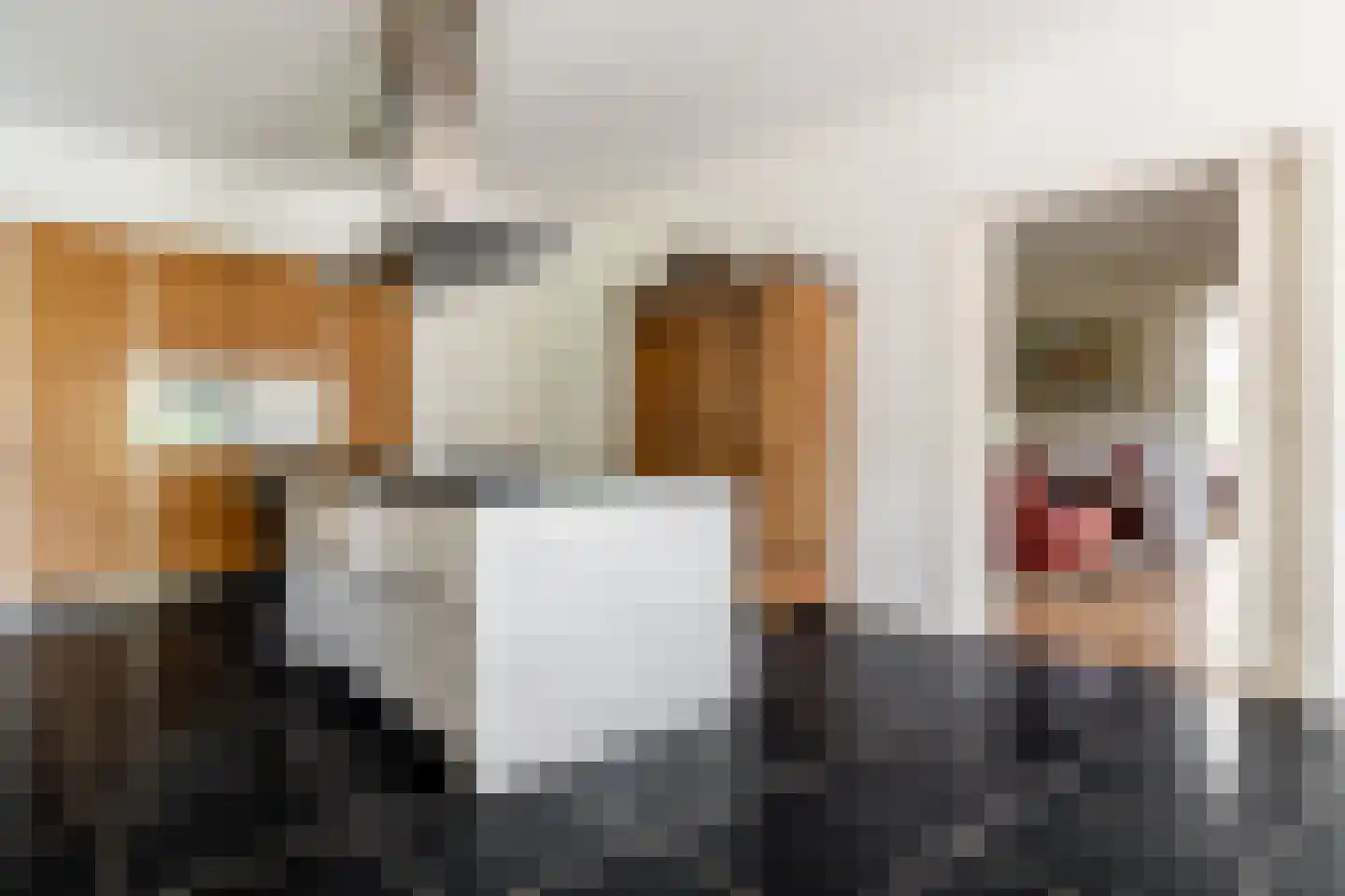 Bavelse Leij 11 Bavel thumbnail 16