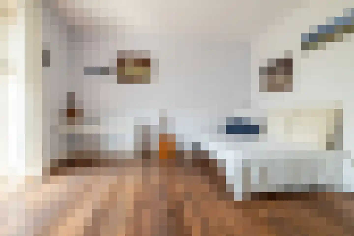 Bavelse Leij 11 Bavel thumbnail 30