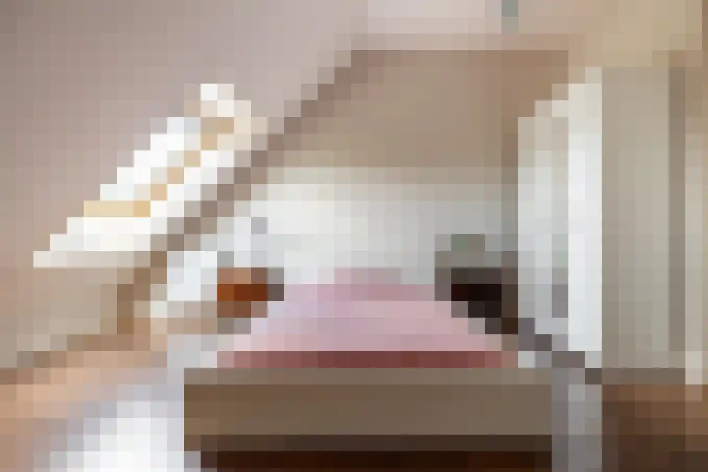 Bavelse Leij 11 Bavel thumbnail 39