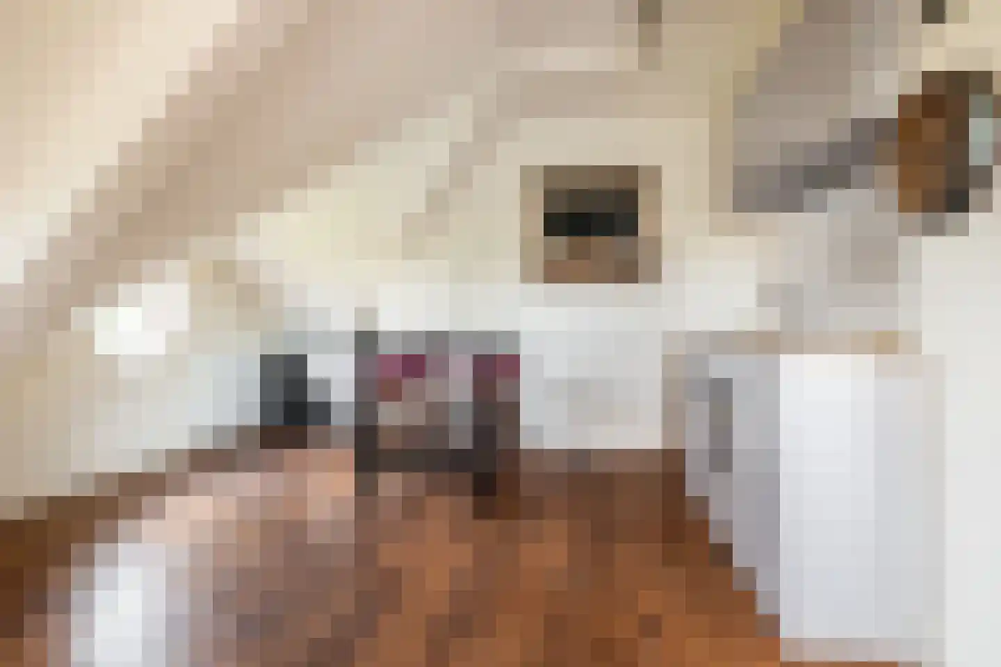 Bavelse Leij 11 Bavel thumbnail 40