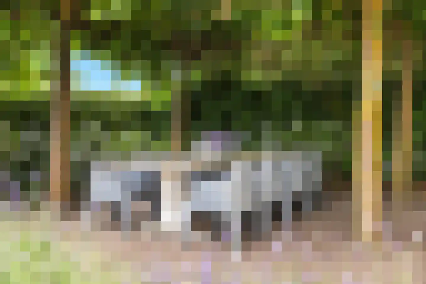 Bavelse Leij 11 Bavel thumbnail 44