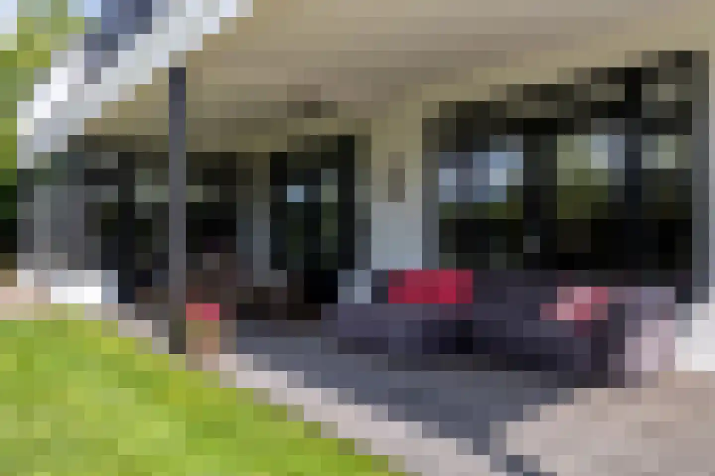 Bavelse Leij 11 Bavel thumbnail 46